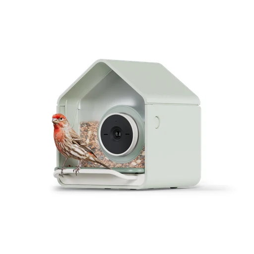 Birdbuddy Nook product photo