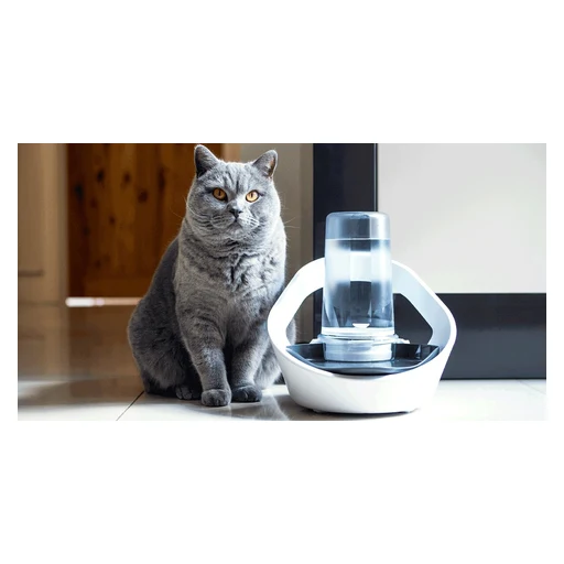 Sure Petcare Felaqua Connect product photo